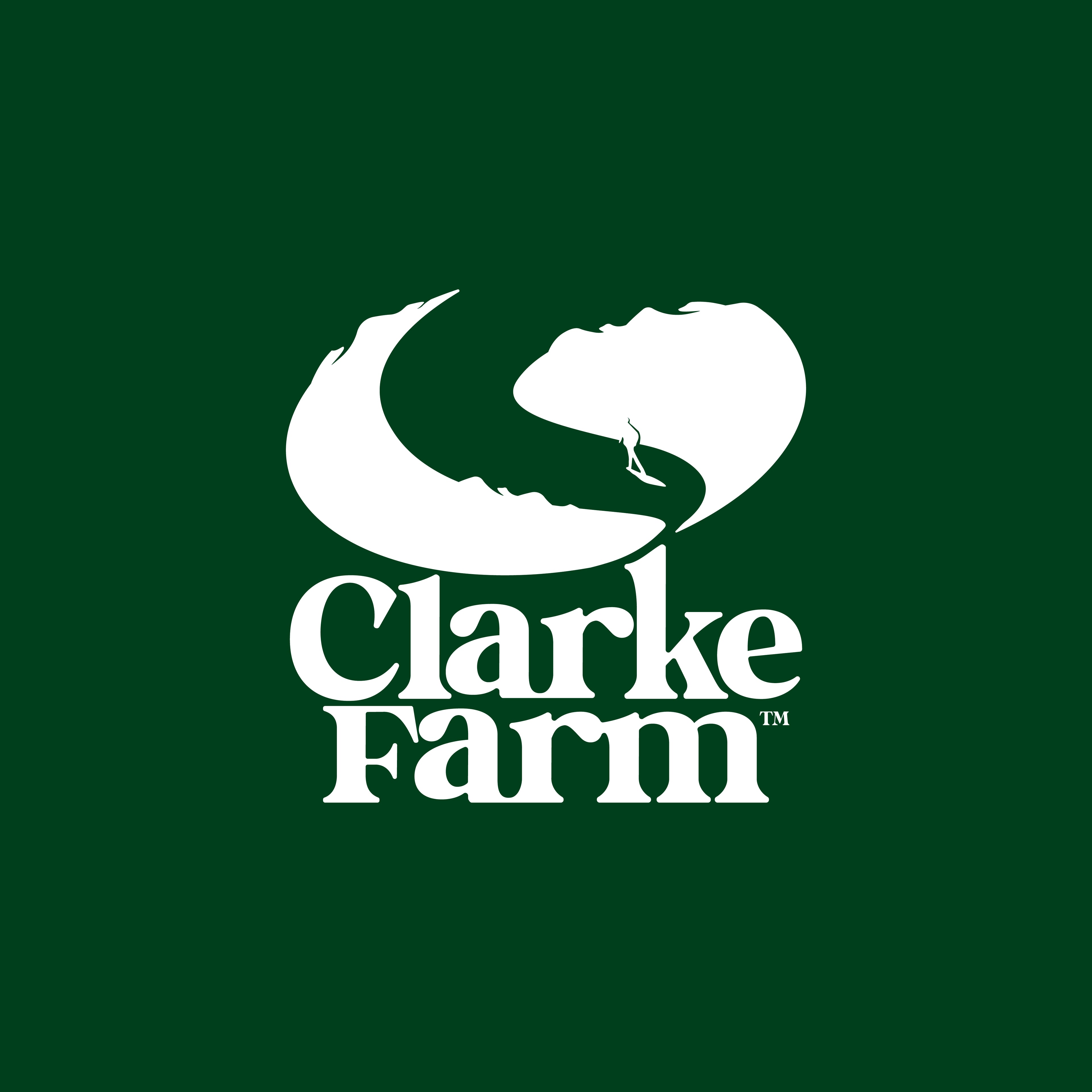 Clarke coffee